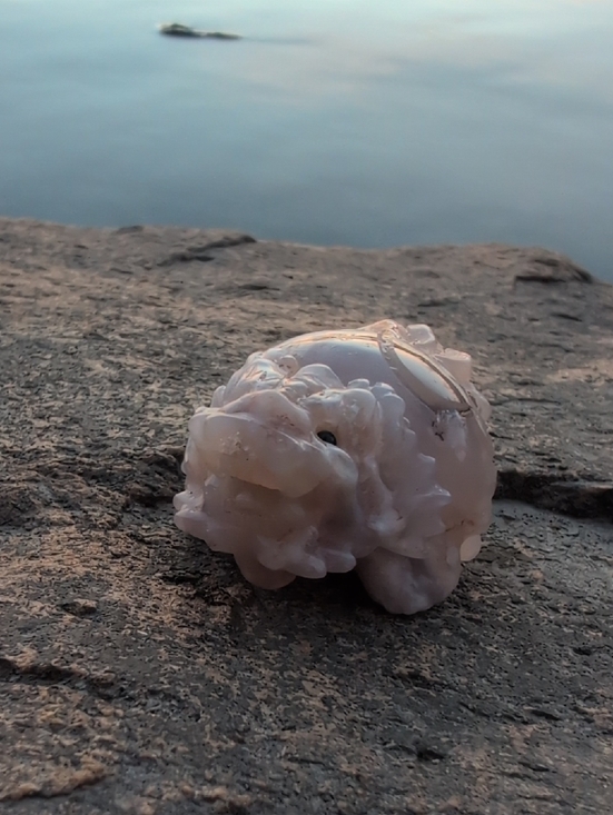 Jewelry - Turtle Dragon Baby Sakura Agate Cherry Blossom